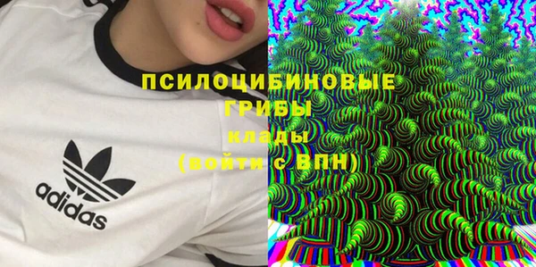 спиды Абдулино