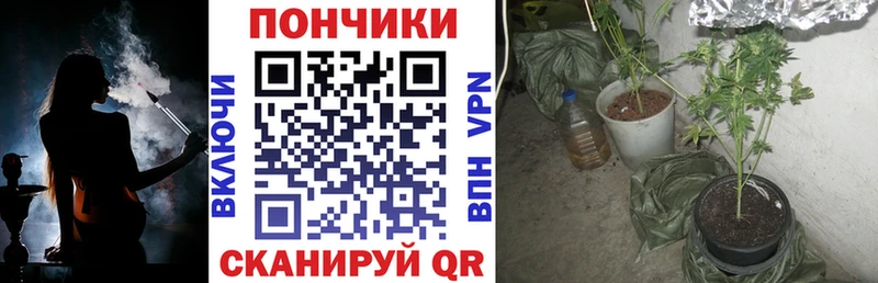 даркнет клад  Щёлково  Марихуана AK-47  наркотики 